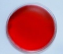 Reusable Gel Heating Pad For Back Aches, Menstrual Pains Non Toxic